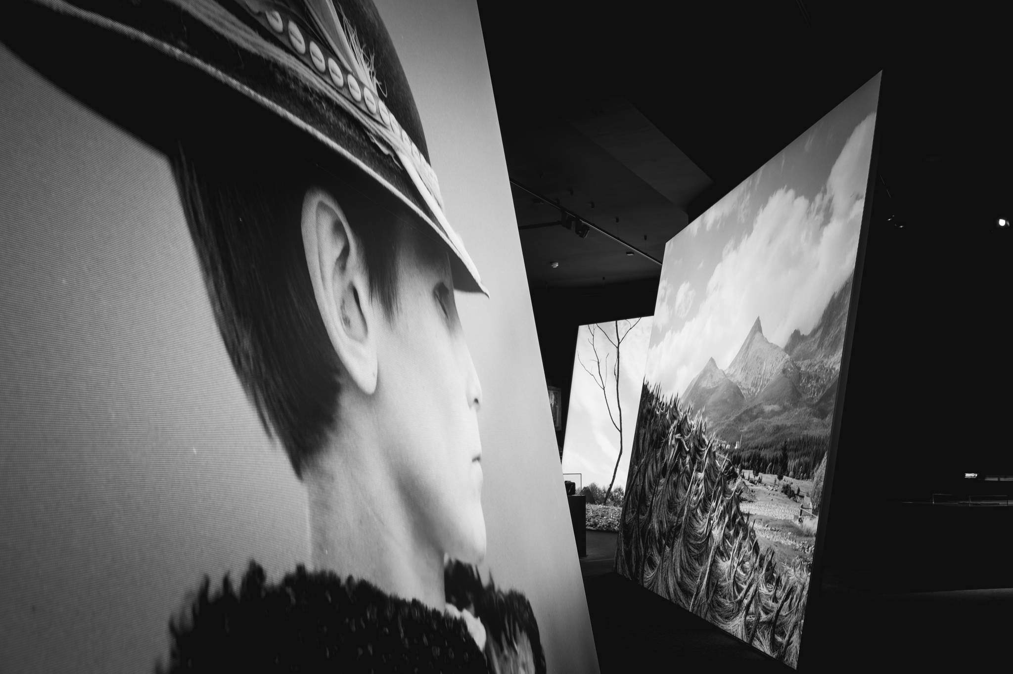 NZ6 2327 DxO DeepPRIME XD2s